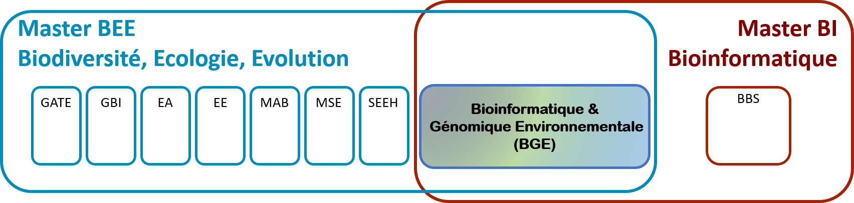 BGE commun à BEE et BI