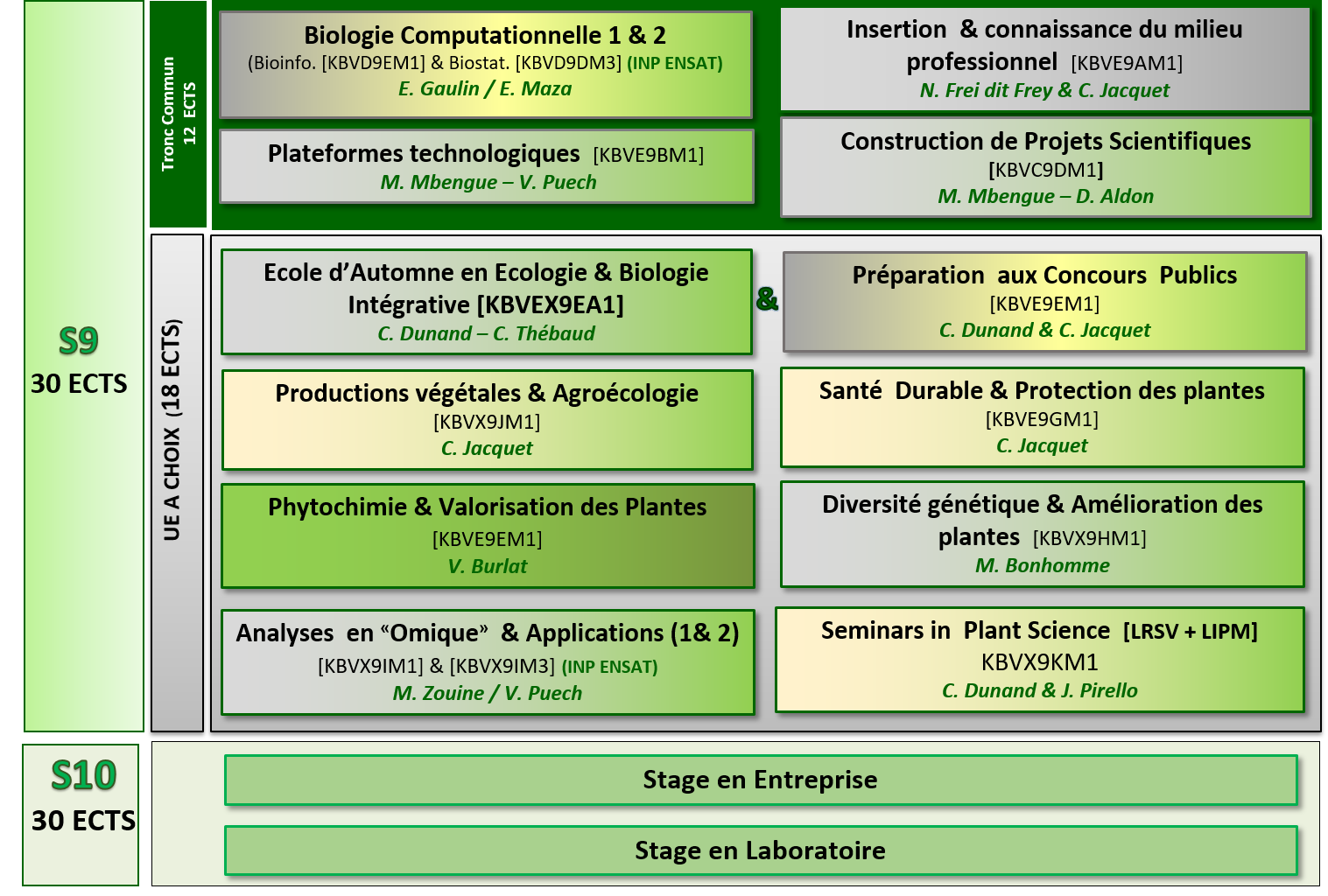 Organisation pédagogique du M2 BPMa