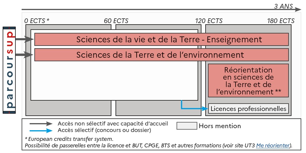 ODF 2024-2025_Mention LicSciencesTerre_SCHEMA_SCUIO